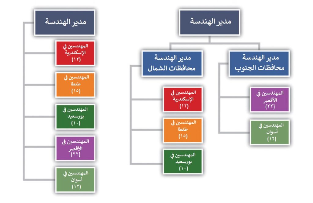 إدارة المشاريع - شكل يوضح تنظيم المشروع ومستويات إعداد التقارير