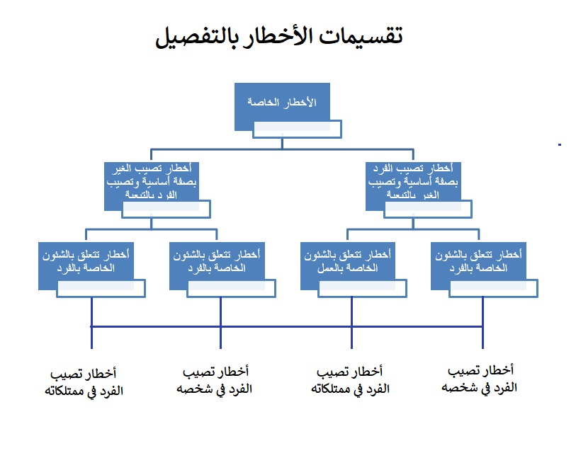 تقسيمات الأخطار الخاصة بالتفصيل - الخطر والتأمين - تعريف الأخطار