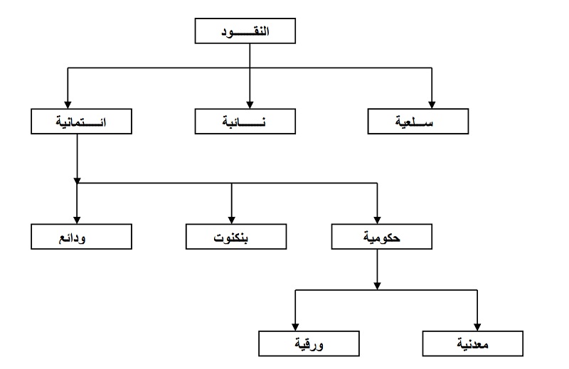 شكل يوضح تقسيمات وأنواع النقود