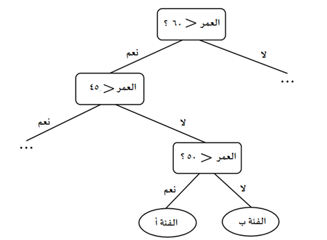 شجرة قرار تحتوي على تكرار يتمثل في السؤال عن العمر