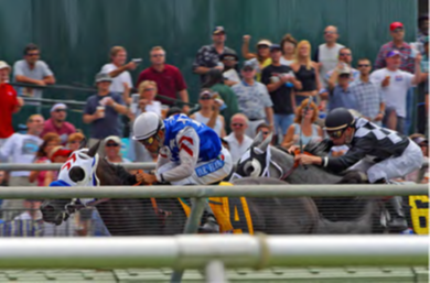 الشكل 3.12: خيول السباق تتسارع خارج البوابة. (الصورة بواسطة: جون سوليفان)