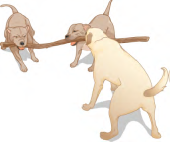 الشكل 2.28 ثلاثة كلاب تلعب بعصا
