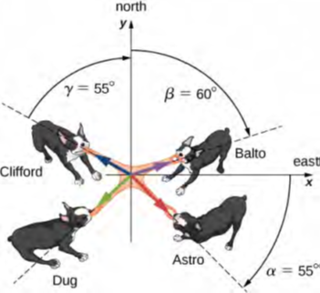 جبر المتجهات - الشكل 2.25 أربعة كلاب تلعب لعبة شد الحبل بلعبة.