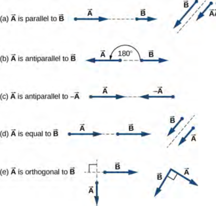 الشكل 2.5 علاقات مختلفة بين متجهين A → و B → - المتجهات 