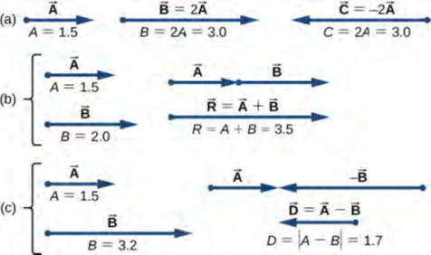 الشكل 2.7 جبر المتجهات في بعد واحد. (a) الضرب بعدد. (b) إضافة متجهين (R → يسمى الناتج عن المتجهات A → و B →). (c) طرح متجهين (D → هو الفرق بين المتجهين A → و B →)