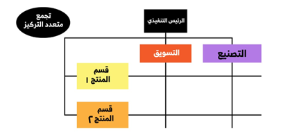 هيكلية المصفوفة (متعددة التركيز) Matrix structure