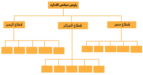 الهيكل القطاعي الجغرافي Geographical Divisional Structure