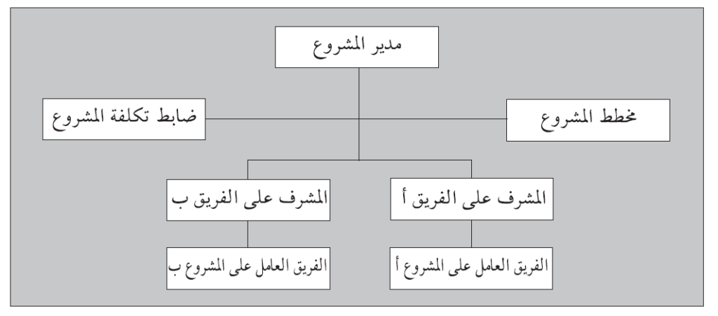 شكل (2.5): التنظيم النموذجي لفريق إدارة المشاريع - توظيف الفريق العامل على المشروع وووصفه وعمله