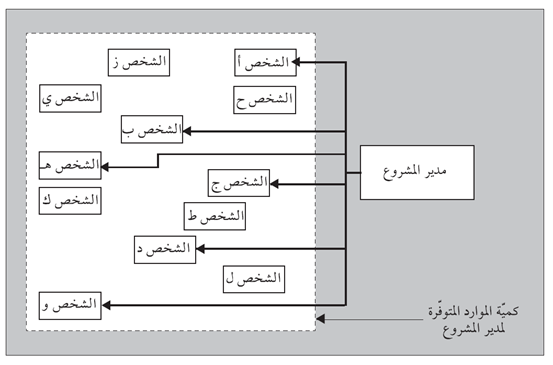 شكل (4.4): مثل عن هيكلية المشاريع الخالصة - المشاريع ضمن المؤسسة القائمة