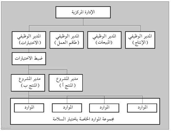 شكل (4.5): هيكلية محتملة للمشاريع الخالصة ضمن نظام وظيفي