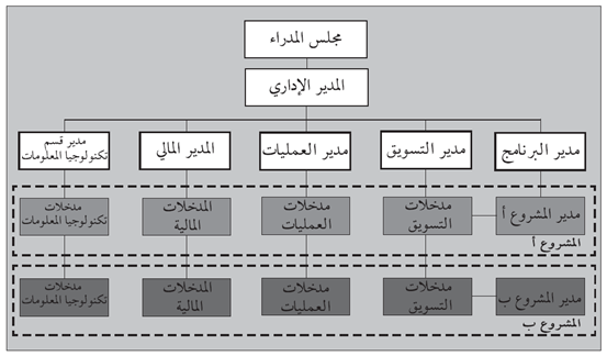شكل (4.6): الهيكلية النموذجية لمؤسسة مشاريع، ملاحظة: تم حذف بعض الأقسام من أجل التوضيح