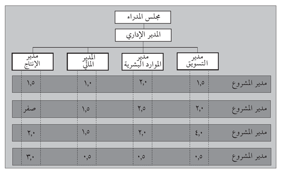 شكل (4.8): هيكلية مصفوفة نموذجية - المشاريع ضمن المؤسسة القائمة