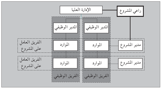 شكل (4.10): راعي المشروع - المشاريع ضمن المؤسسة القائمة