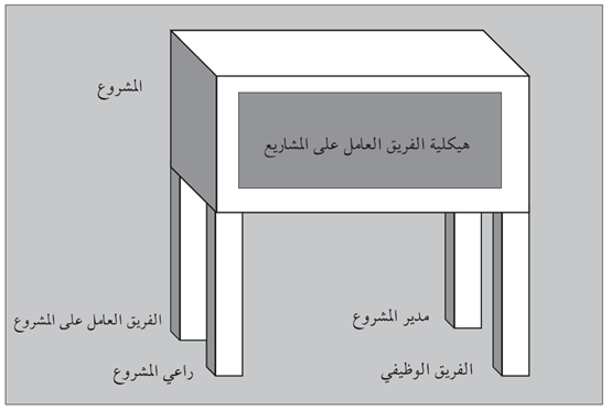 شكل (4.11): كرسي إدارة المشاريع - المشاريع ضمن المؤسسة القائمة