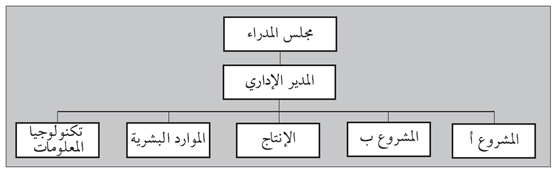 شكل (4.12): الهيكلية المؤسساتية المختلطة