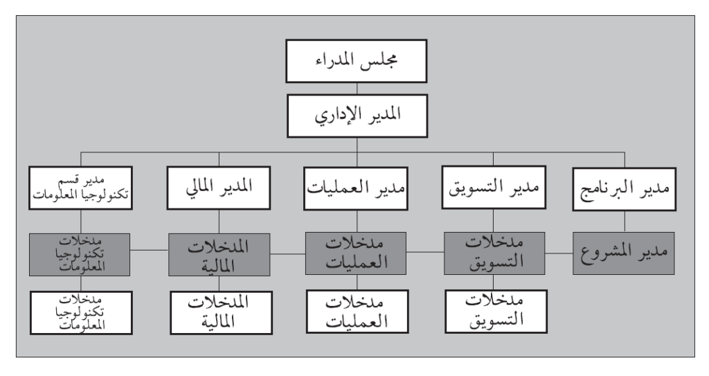 شكل (2.4): هيكلية نموذجية لمؤسسة مشروع. ملاحظة: تم حذف بعض الأقسام بهدف الوضوح، ومن شأن المجالات المظللة أن تبين التوجه الوظيفي.