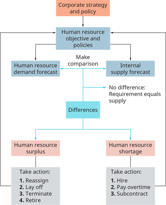 الشكل 8.4: عملية تخطيط الموارد البشرية (المصدر: جامعة رايس، OpenStax)