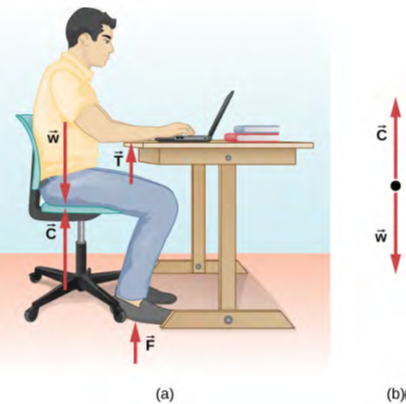 الشكل 5.6: القوى المؤثرة على طالب فيزياء يجلس على طاولة ويعمل بجد على واجباته المنزلية