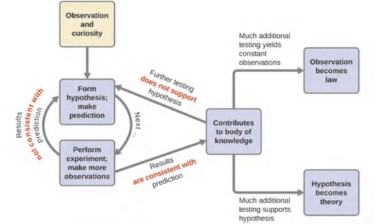 الشكل 1.4: تتبع الطريقة العلمية عملية مماثلة لتلك الموضحة في هذا الرسم التخطيطي