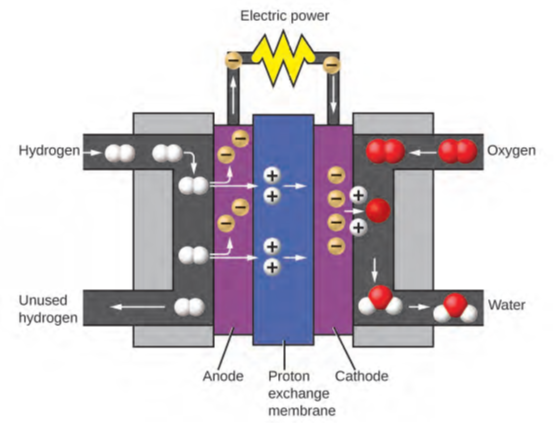 الشكل 1.16: تولد خلية الوقود طاقة كهربائية من الهيدروجين والأكسجين عبر عملية كهروكيميائية وتنتج الماء فقط كمنتج نفايات