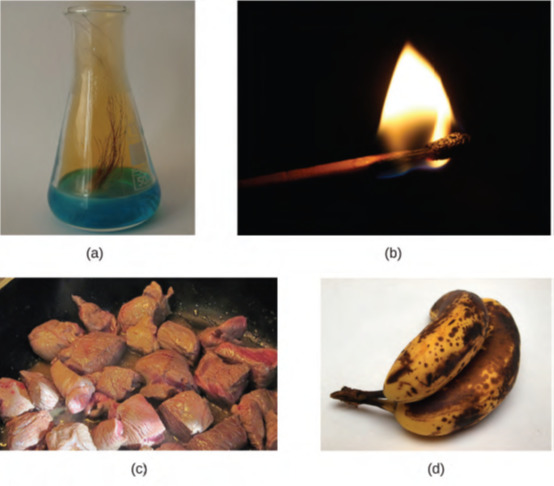 الشكل 1.20: توضيح الخصائص الكيميائية لبعض المواد (النحاس وحمض النيتريك، احتراق عود الثقاب، اللحوم، الموز)