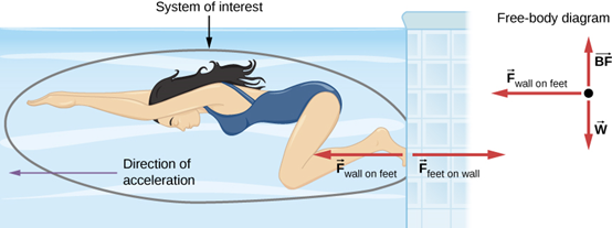شكل 5.16: إحدى السباحات وهي تدفع بقدميها نحو الحائط من أجل السباحة بالاتجاه المعاكس، ويظهر مخطط الجسم الحر على اليسار – قانون نيوتن الثالث