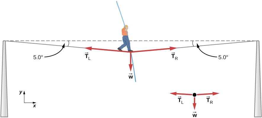 شكل 5.26: وزن الشخص الذي يمشي على حبل مشدود يتسبب في ترهل السلك