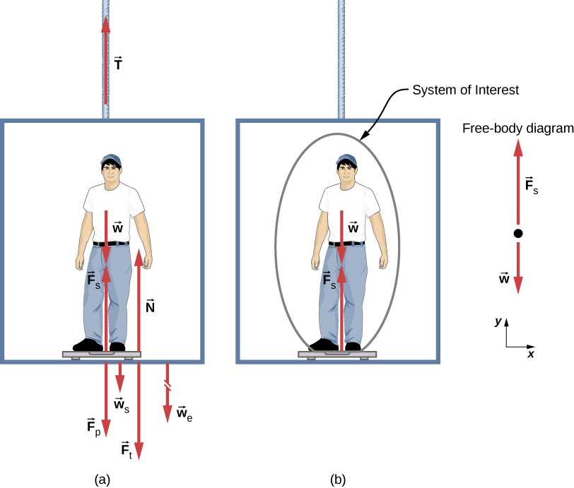 الشكل 6.5 (أ) القوى المختلفة التي تعمل عندما يقف شخص على ميزان حمام في مصعد - تطبيقات قوانين نيوتن للحركة