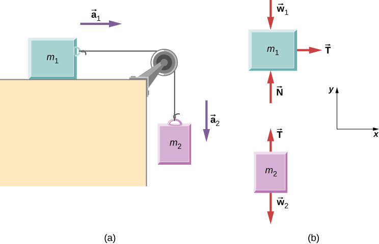 الشكل 6.6: (أ) يتم توصيل الكتلة m1 بواسطة خيط خفيف بالكتلة m2. (ب) مخططات الجسم الحر للكتل