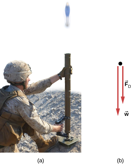 الشكل 6.9: (أ) صورة لجندي يطلق قذيفة هاون بشكل مستقيم. (ب) يوضح مخطط الجسم الحر لقذيفة الهاون والقوى المؤثرة عليه