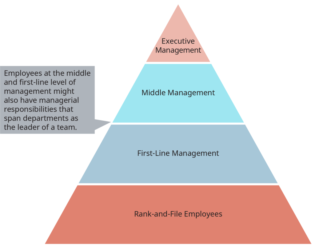 شكل 1.5: مستويات في التسلسل الهرمي للإدارة (المصدر: جامعة رايس، OpenStax) - الإدارة والأداء