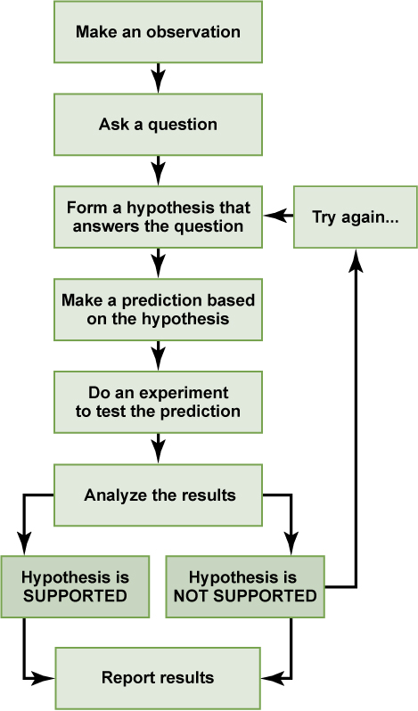 شكل 1.6: تتكون الطريقة العلمية من سلسلة من الخطوات المحددة جيدًا. إذا كانت الفرضية غير مدعومة بالبيانات التجريبية، فيمكن للمرء أن يقترح فرضية جديدة