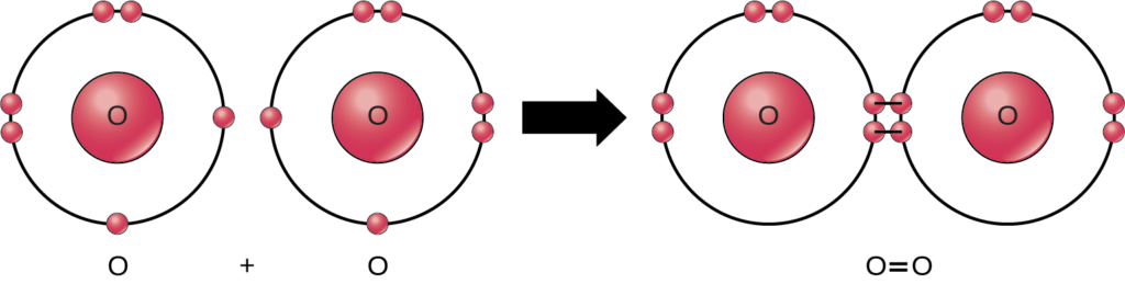 شكل 2.10: رابطة مزدوجة تنضم إلى ذرات الأكسجين في جزيء الأكسجين O2.