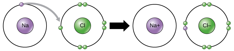 شكل 2.11: في تكوين مركب أيوني، تفقد المعادن الإلكترونات وتكتسب اللافلزات إلكترونات لتحقيق قاعدة الثمانيات.