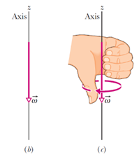 العزم الدوراني Torque - قاعدة اليد اليُمنى